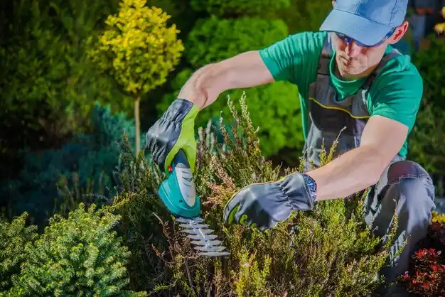 landscaping services Seville